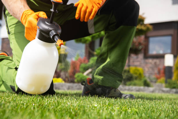 Pest Control for Restaurants in Lookout Mountain, TN