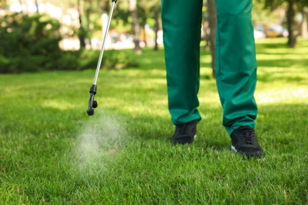 Best Wildlife Control Services  in Lookout Mountain, TN