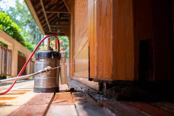 Best Ant Control Services  in Lookout Mountain, TN